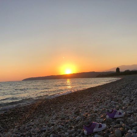 Solnechny Bereg Guest House Gudauta Bagian luar foto