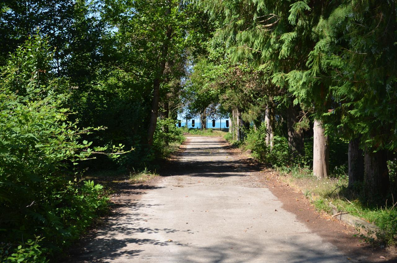 Solnechny Bereg Guest House Gudauta Bagian luar foto