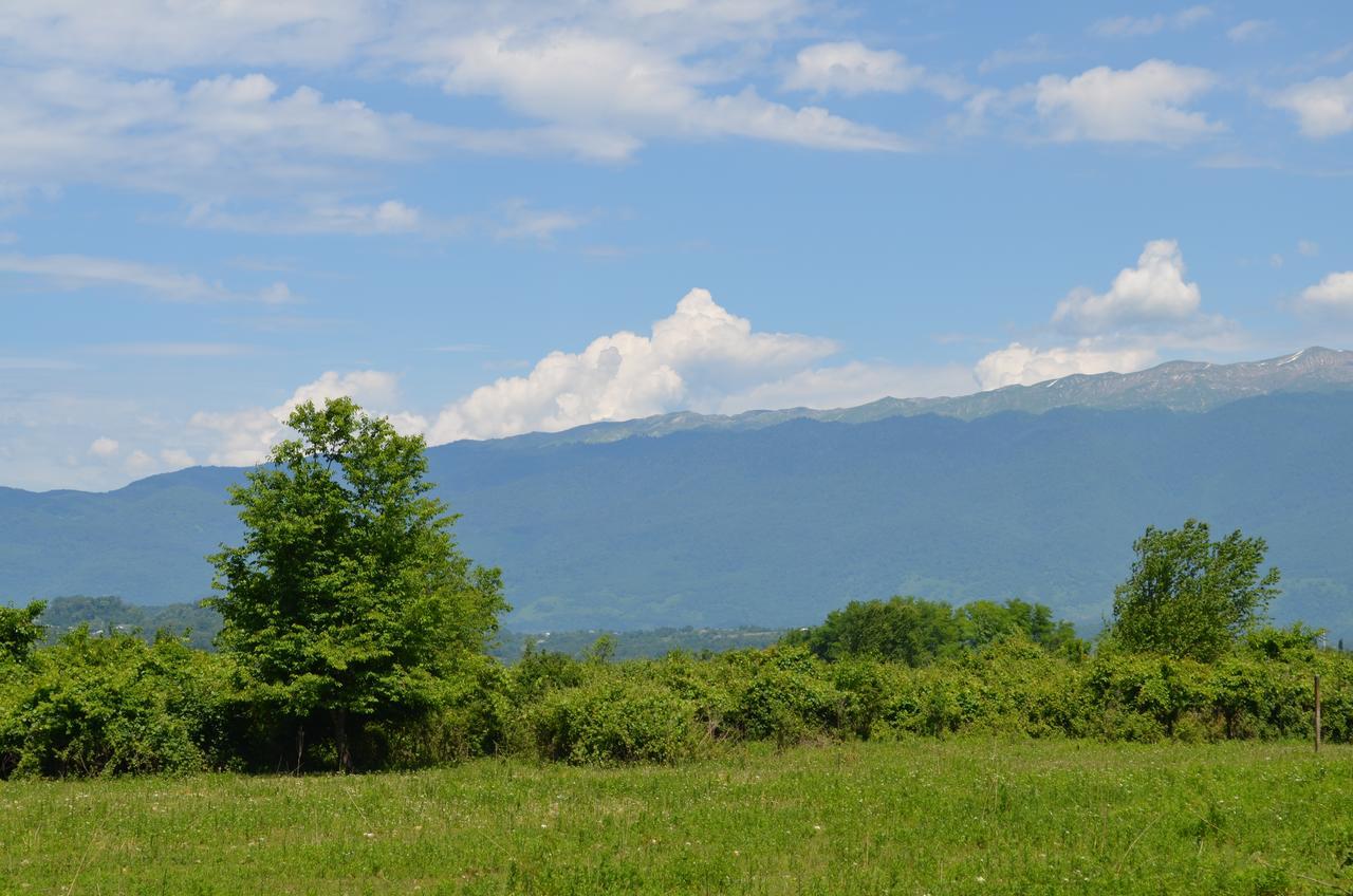 Solnechny Bereg Guest House Gudauta Bagian luar foto