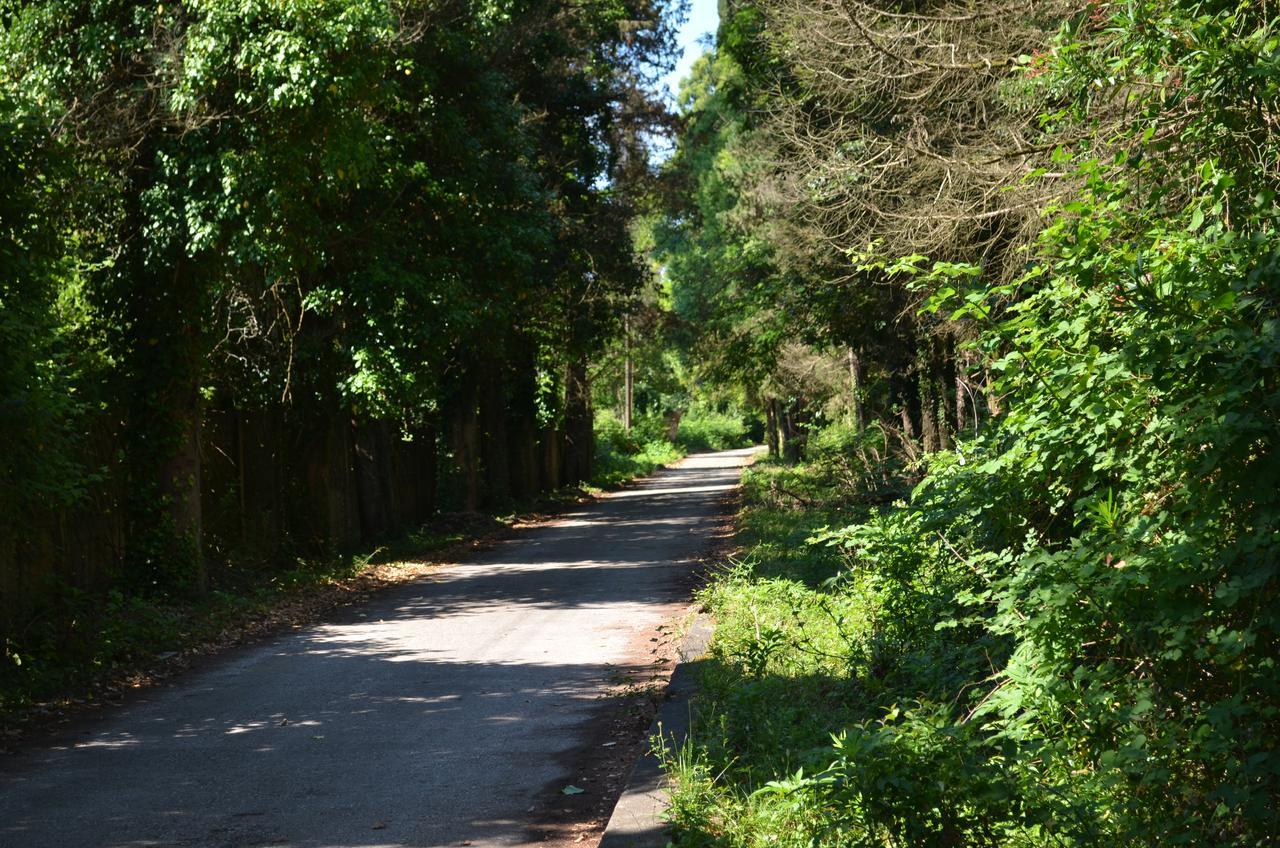 Solnechny Bereg Guest House Gudauta Bagian luar foto