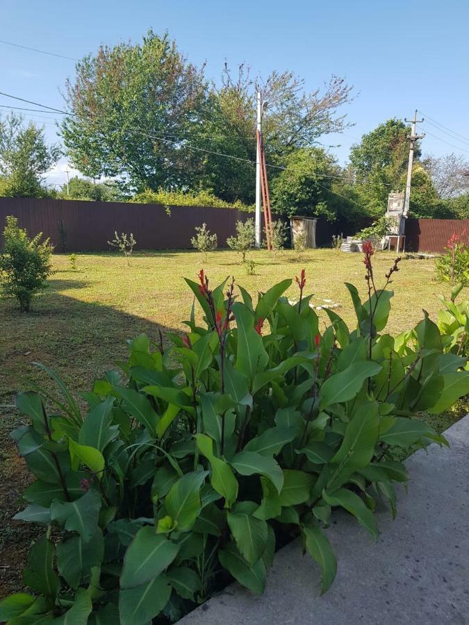 Solnechny Bereg Guest House Gudauta Bagian luar foto