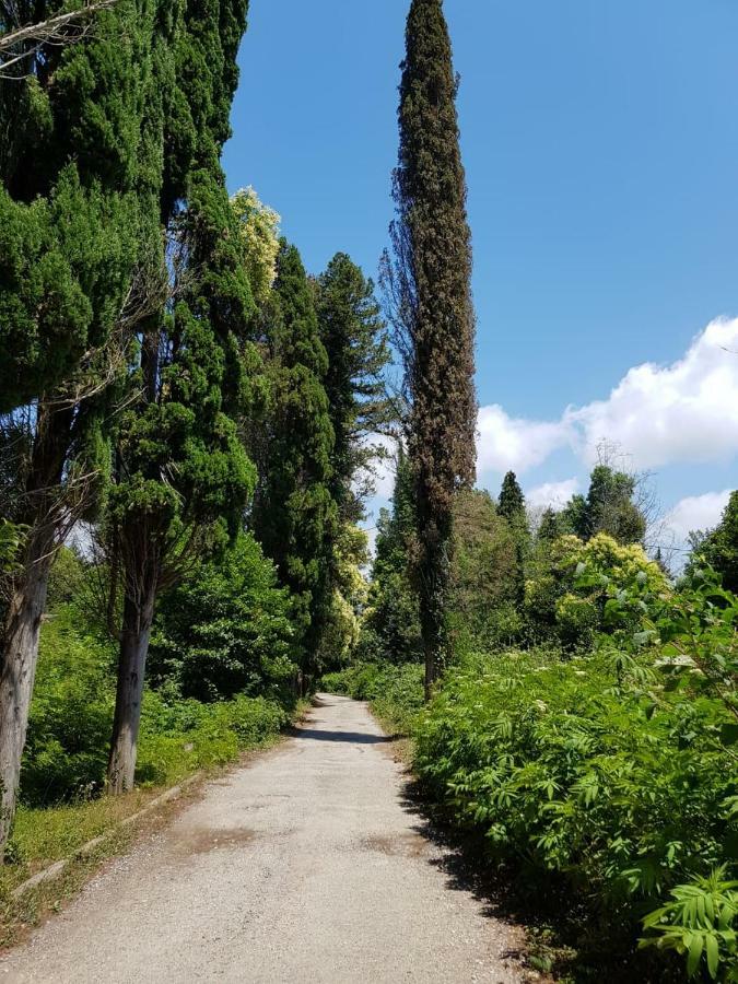 Solnechny Bereg Guest House Gudauta Bagian luar foto