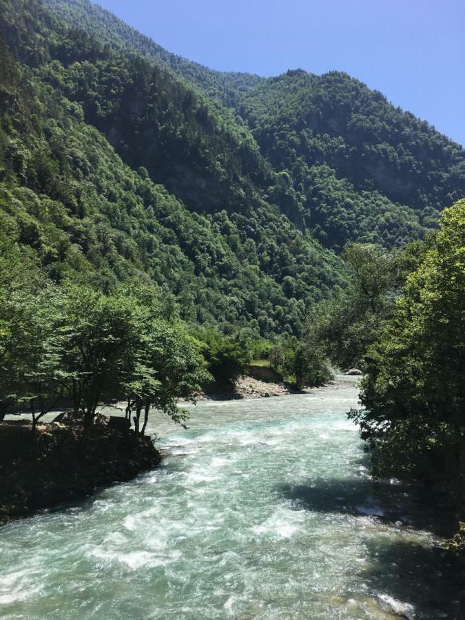 Solnechny Bereg Guest House Gudauta Bagian luar foto